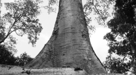 Timeline: My Autobiography