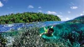 Timeline: universidad