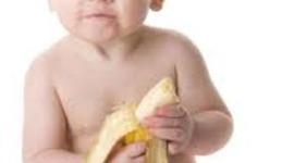 Timeline: Fetal Development Timeline