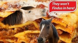 Timeline: FINDUS, une affaire qui a du cheval