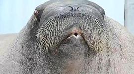 Timeline: Histroy of the Internet