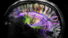 Timeline: Origins of Contemporary Psychology