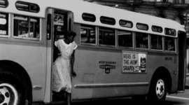 Timeline: rosa parks