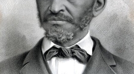 Timeline: Diminishing Progress of Anthony Johnson