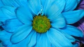 Timeline: Our Timeline