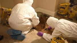 Timeline: Forensic Science