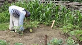 Timeline: Anthony Johnson