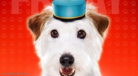 Timeline: Hotel for Dogs