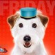 Hotel for dogs friday 422 19728