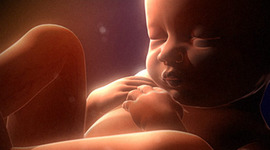 Timeline: Baby Development