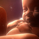 Baby in womb