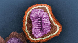 Timeline: Fighting Infectious Disease