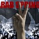 Arab spring 12 300x224