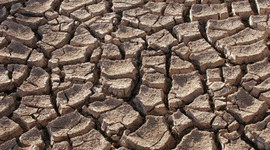 Timeline: Famines in History