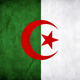 Algerian flag
