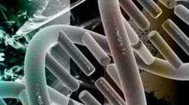 Timeline: HISTORIA DE LA EPIDEMIOLOGIA