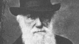 Timeline: Timeline Darwin