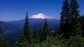 Timeline: BAllenMenteeAssignment