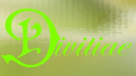 Timeline: Divitiae Feb-March Timeline