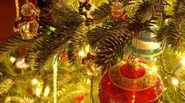 Timeline: История