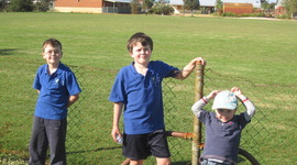 Timeline: Timeline of Lessons Learnt in Life