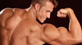 Timeline: Murray's the most buff (Levi)