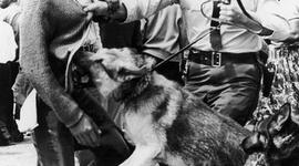 Timeline: Civil Rights Timeline