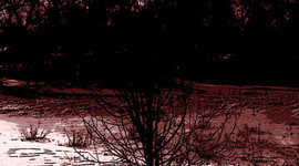 Timeline: CET765 -Peer Mentoring