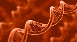 Timeline: THE DISCOVERY OF DNA