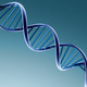 Dna double helix