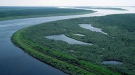 Timeline: ПРИРОДА РОДНОГО КРАЯ