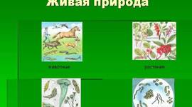 Timeline: Сбор информации