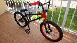 Timeline: what happend so far in dotys extreame life