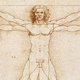 Homme vitruve
