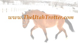 Timeline: Smokey Mtn. Ranch Controversy - Timeline