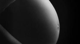 Timeline: Pregnancy Timeline