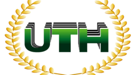 Timeline: Evolución de la infraestructura de TI