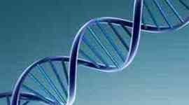 Timeline: Discovery Of DNA