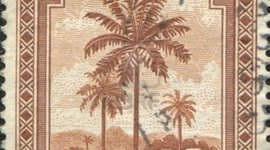 Timeline: Imperialism in the Belgian Congo