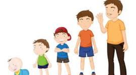 Timeline: Child Development: From Prenatal to Adolescence