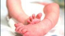 Timeline: Child Development Timeline