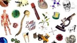 Timeline: AVANCES EN LA BIOLOGIA