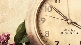 Timeline: My career path