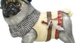 Timeline: Knights Morgan