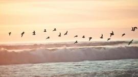 Timeline: Højdepunkter i Danmark - Astrid Filyo