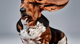 Timeline: jamie: Danmarks historie