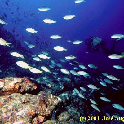 Timeline: Democracia Portuguesa