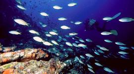 Timeline: Democracia Portuguesa