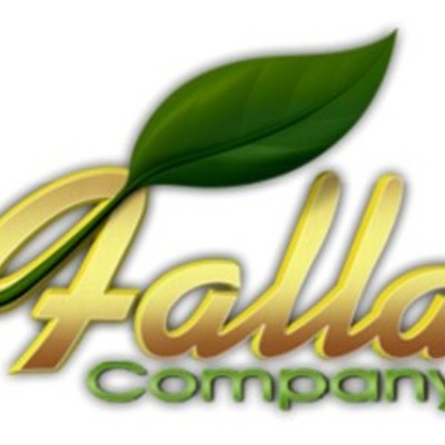 Timeline: Falla Company History