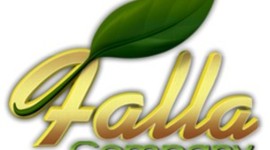Timeline: Falla Company History
